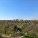 Pantelimon, 3 camere decomandat, vedere Parc Morarilor, 10 min. metrou.