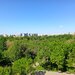 Pantelimon, 3 camere decomandat, vedere Parc Morarilor, 10 min. metrou.